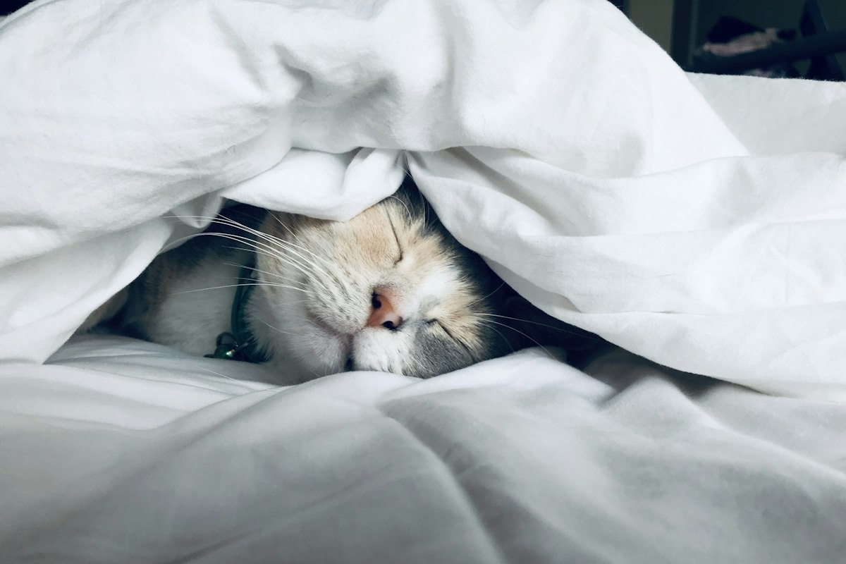 Sleep is part of the picture